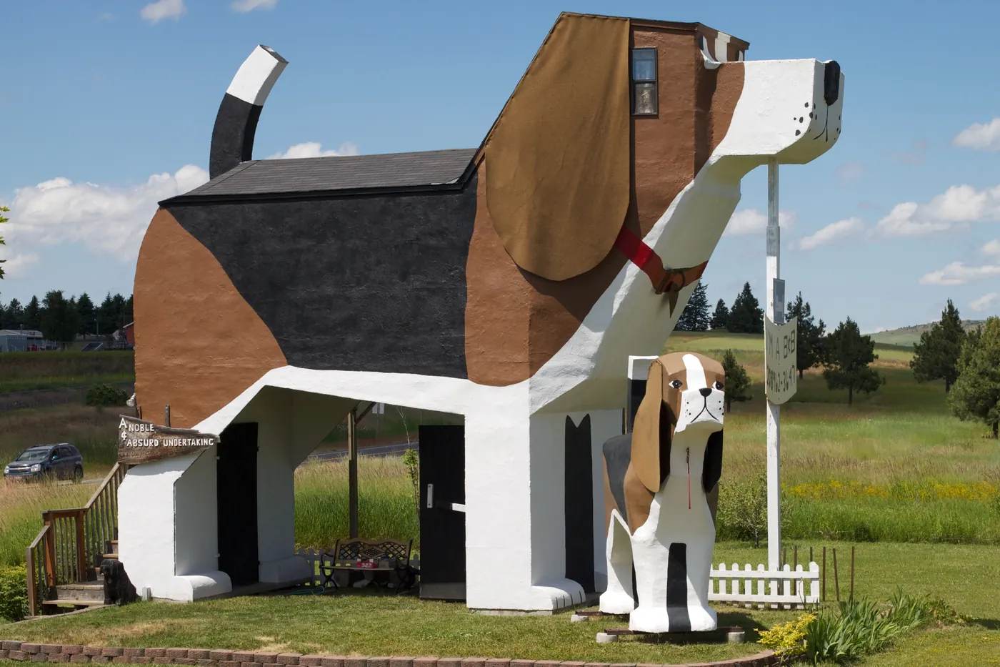 Mon chien aboie sur les autres chiens : que faire ? — CanideLuna