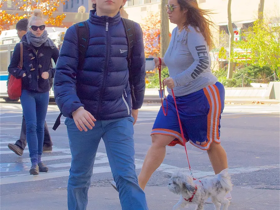 Croisement de chiens serein en balade