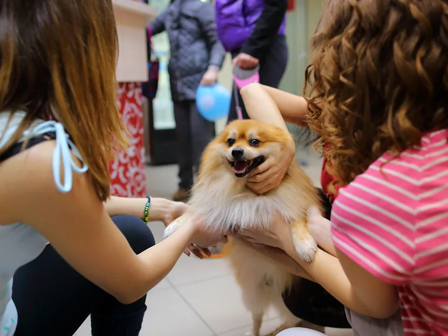 Chien joyeux entouré d’enfants